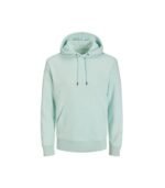Plain Light Blue Hoodie 1
